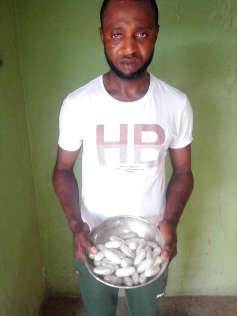 NDLEA Arrest Two Traffickers With N264m Worth Of Cocaine, 157.5kg Skunk In FCT, Kogi