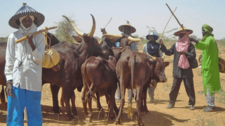 Herdsmen Kill 8 IDPs In Benue