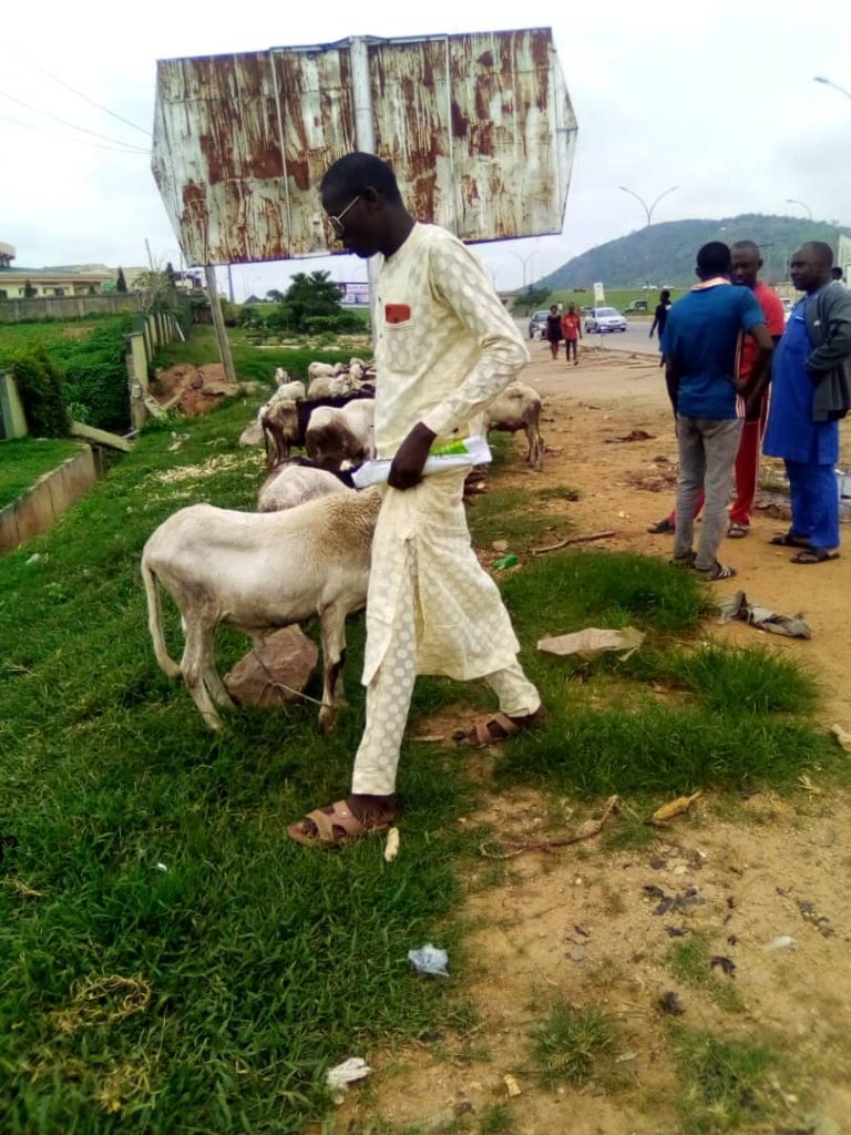 Eid Kabir: Ram Traders In Road Corridors To Face Forfeiture, Prosecution, Says FCTA Eid Kabir: Ram Traders In Road Corridors To Face Forfeiture, Prosecution, Says FCTA
