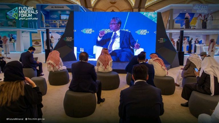 We Have Needed Mineral Resources To Power Electric Cars, Phones In Nigeria , Adegbite