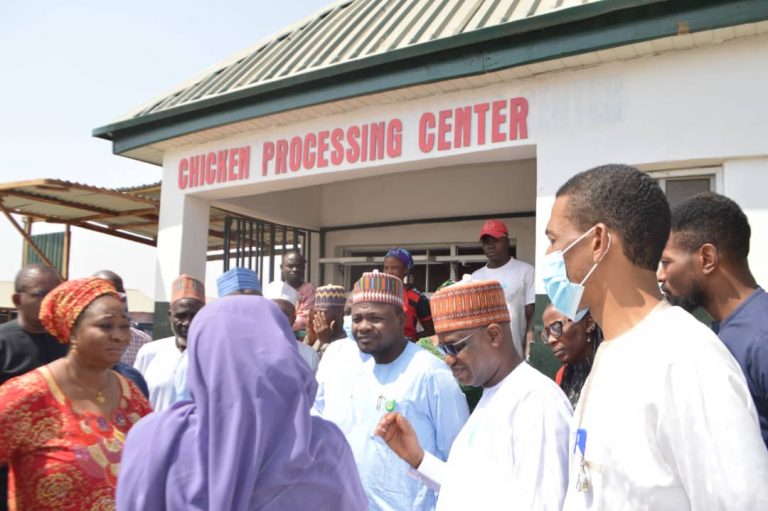 FCT-ARDS To Overhaul Dei Dei Livestock Market