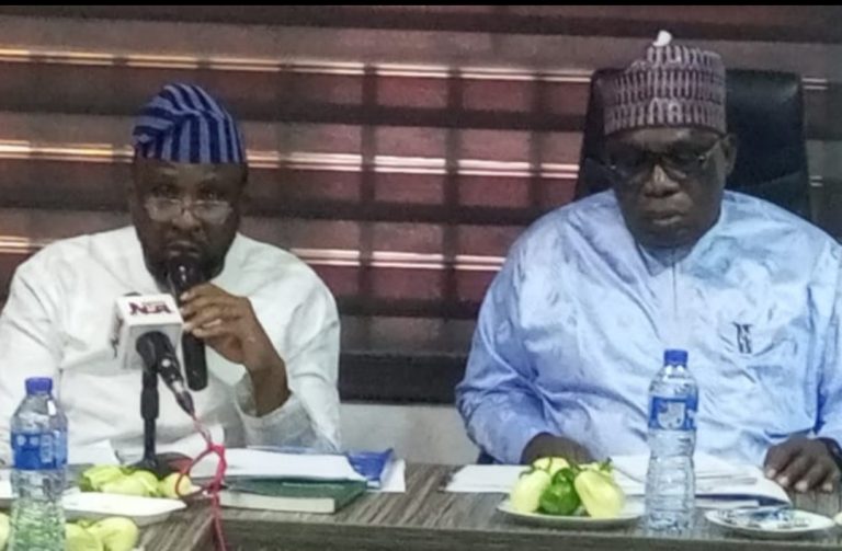 National Assembly to Address Licensing , Funding Challenges in Nigeria’s Mining Sector, House Committee Chair