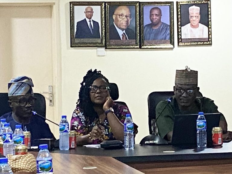 Nigeria Loses $28 Billion Annually to Grid Failures, Prof. Ogaji