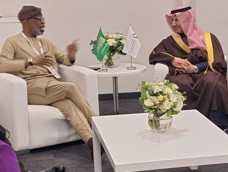 Nigeria, Saudi Arabia Explore Iron Ore-to-Steel Collaboration