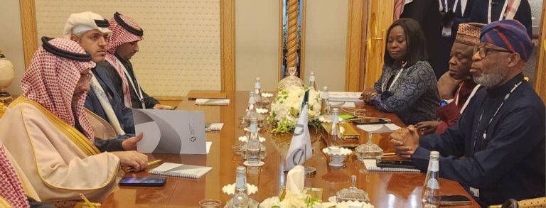 Nigeria, Saudi Arabia Deepen Collaboration on Mining, Geological Advancements