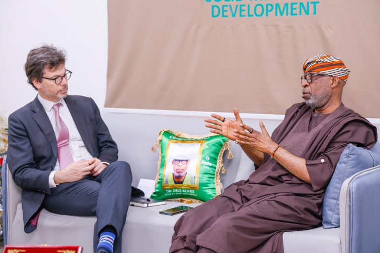 Nigeria Solid Minerals Corporation to Revolutionize Mining Sector – Alake