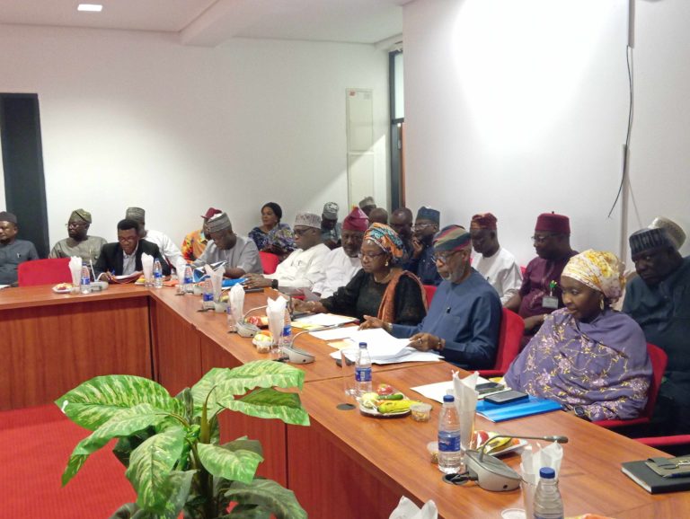 Lawmakers Demand Increased Budget for Solid Minerals Development to Accelerate Economic Diversification