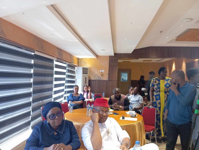8th Nigeria Family Planning Conference Secures $4 Million Private Sector Commitment