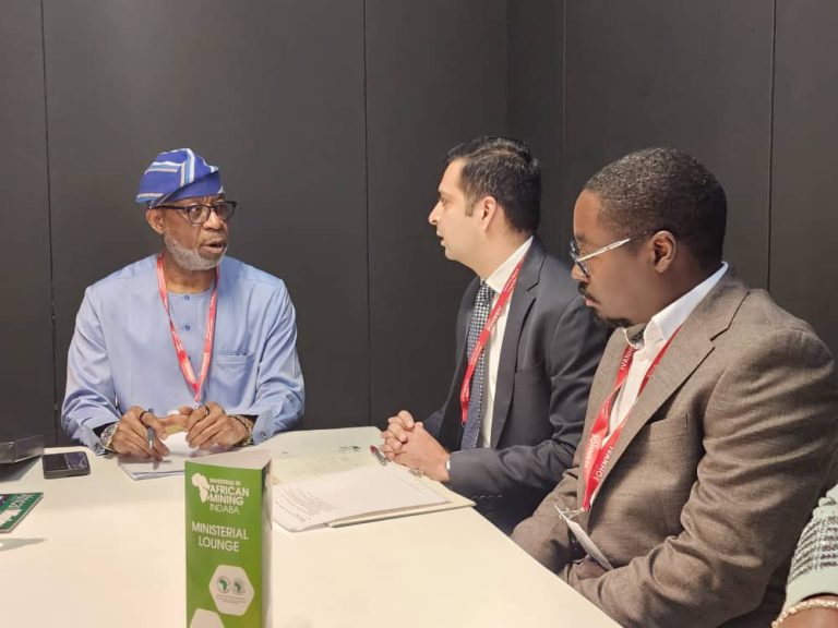 Nigeria Secures UN-Backed Study to Boost Critical Minerals and Solar Power Industry