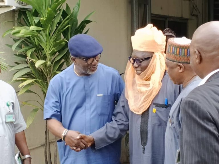Gumel Emirate Turbans Galadima as Madaki Gini of Gumel