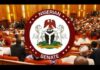 Plateau Killings: Northern Senators Demand Urgent Action to Stop Bloodshed