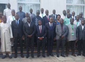 ECOWAS Moves to Ban Donkey Skin Trade, Fight Animal Disease Outbreaks in West Africa