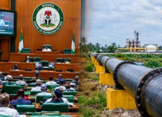 Reps Probe PINL Pipeline Contract, Demand Forensic Audit